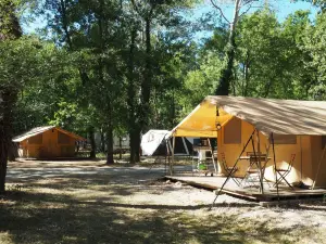 藝術現場露營營地