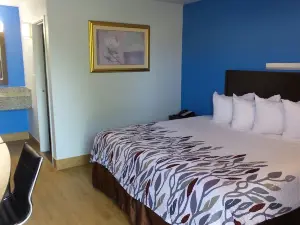 Budget Inn Alexandria