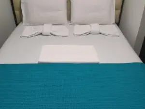 Elsa's House