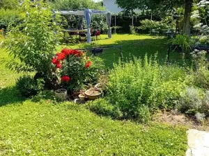 Rose Resort, Room 40m2 with Terrace and Shared Bathroom