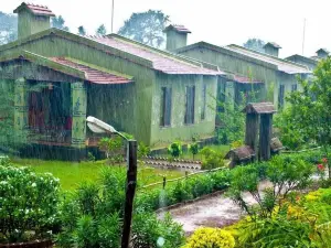 Bastar Jungle Resort