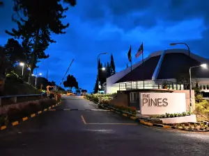 The Pines