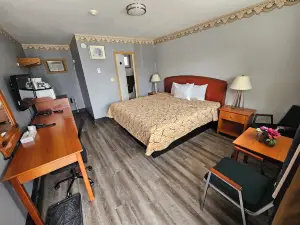 Forest Plaza Motel
