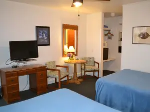 와차프레이그 인