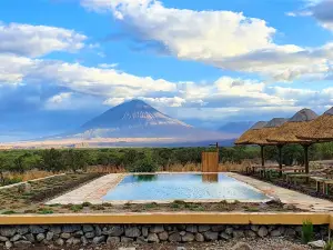 Africa Safari Lake Natron
