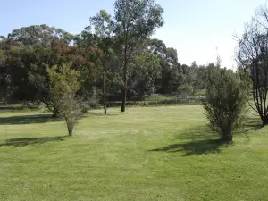 Bellbrae Harvest