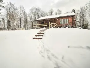 Cambridge Springs Cabin Near French Creek!