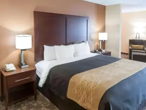 Comfort Inn North Conroe