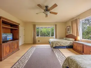 볼케이노 포레스트 인