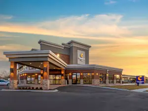 Comfort Inn Detroit - Troy