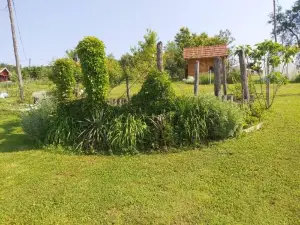 Apartma Silvia