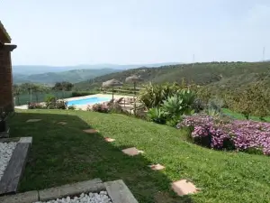 The Wild Olive Andalucia Agave Guestroom