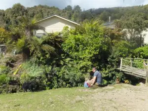 Little Paradise & Petting Farm