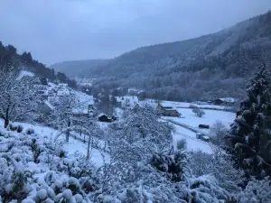 Ferienhaus Waldglück