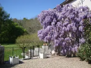 Bois de Cadène