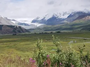 Denali Wild Stay - Moose Cabin, Free Wifi, 2 Private Bedrooms, Sleep 6