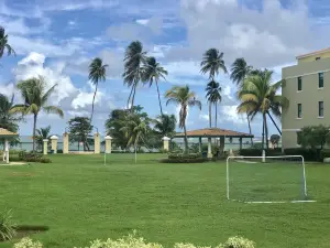 Slice of Paradise