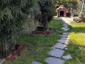 KARTEPE RENKLİ EVLER / beyaz ev