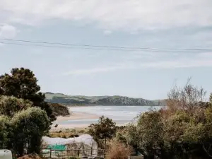 Forest Edge, The Catlins