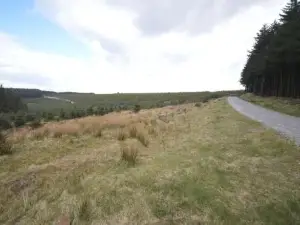 Mountain Escape - Cosy 2 Bed House in Afan Valley