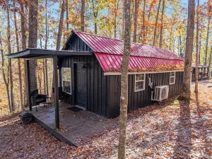 Red River Gorge/Natural Bridge/Cliffview/Hollerwood Park - Cozy Couples Cabin