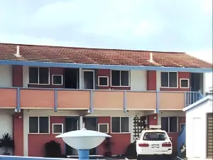 Braemar Motor Inn