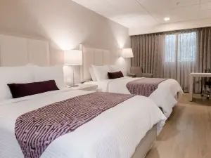 안타리스 갈레리아스