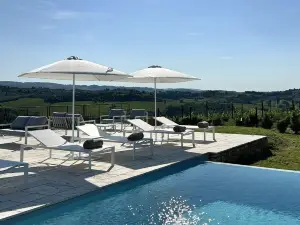 Laqua Vineyard