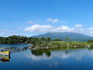 Zopango Orchids Island