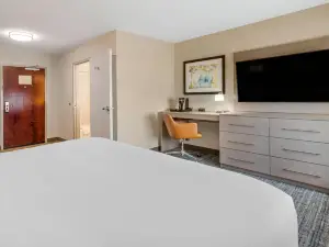 倫納德頓旅店 - 阿桑德連鎖酒店