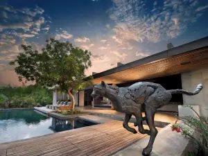 치타 플레인스 프라이빗 게임 리저브