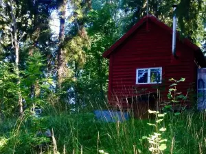 Tiny Hut in the Forest Overlooking the River