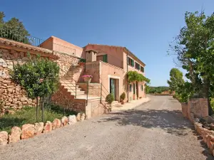 Finca Agroturismo Sa Cova Den Borino