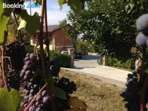 Agriturismo Cascina Barin