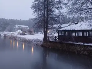 Ośrodek Wypoczynkowy Kozioł