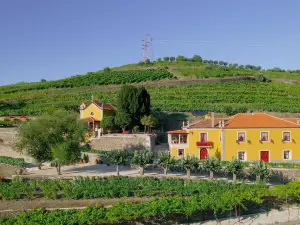 Casa do Salgueiral