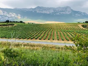 ラ カソナ デ アルティス