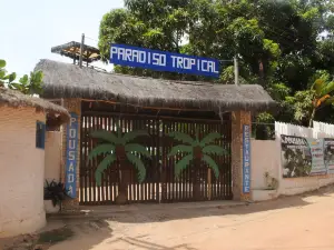 파라디소 트로피칼