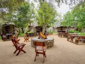 Warthogs Bush Lodge