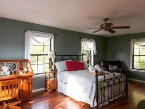 Farm house overlooking pastures by the Buffalo River. Perfect starry nights.