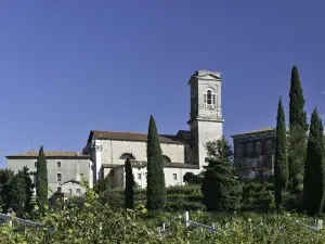 Hotel Valpolicella International