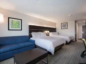 Holiday Inn Express & Suites Chicago - Hoffman Estates