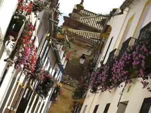 Casa Cueva El Pocito