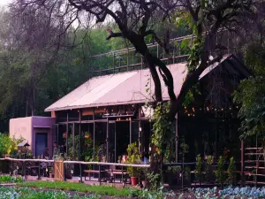 Jehan Numa Retreat