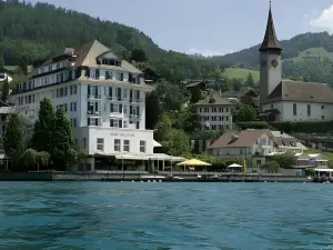 Hotel Restaurant Bellevue au Lac