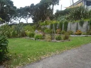 AHIPARA GOLDENSANDs