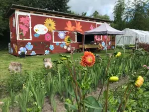 Ammebergs Blommor by Tiny Away