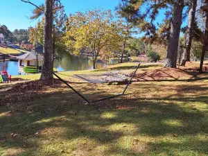 Let's Go Fishing