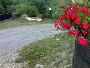Aia di Lazzaro Agriturismo