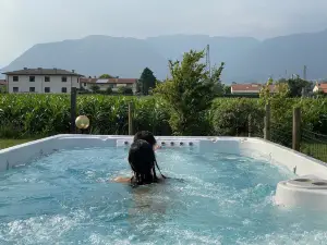 Le Fate Corbezzole